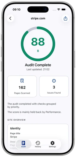 SEO Audit Site Checker iPhone audit screen
