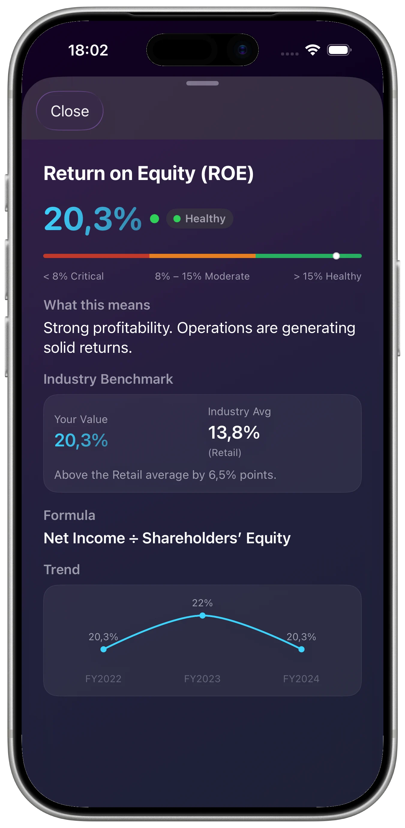 Financial Ratios Pro app screenshot 2